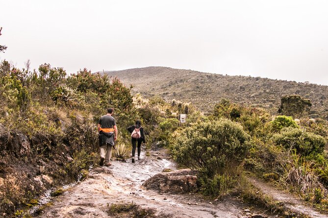 Chingaza, the Mountain of Water: Tour From Bogota - Cultural and Natural Highlights