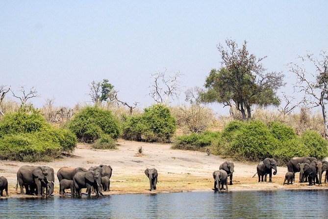 Chobe Day Trip To Botswana From Livingstone - Traveler Reviews