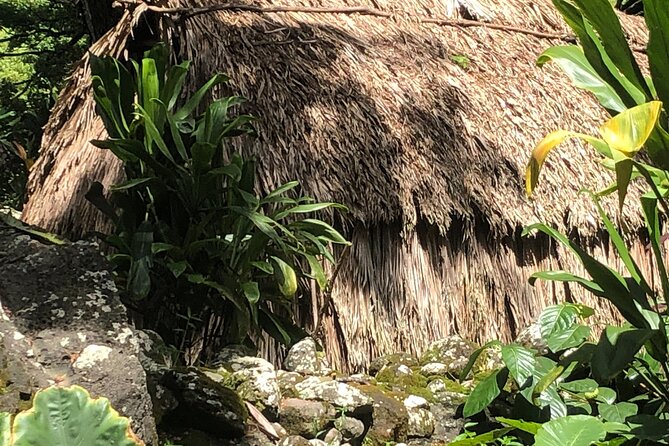 Circle Island Tours - Swim With Turtles,Private & Small Group Tours - Local Attractions Explored