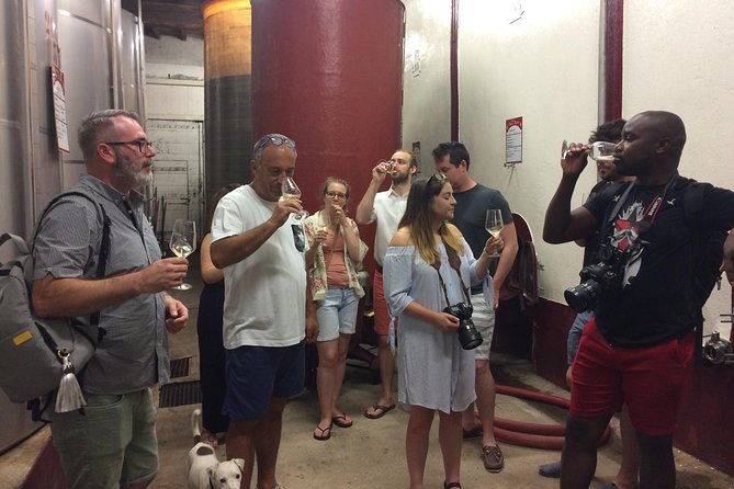Cité De Carcassonne and Wine Tasting Private Day Tour From Toulouse - Contact Information for Booking