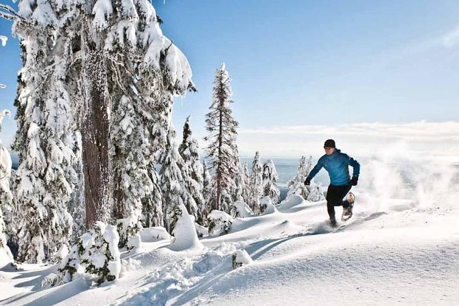 CityPassport Vancouver - Attractions Pass and Destination Guide - Additional Considerations