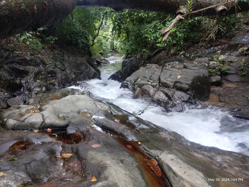 Colombo: Day Trip; Seethawaka Wet Zone Botanical Gardens - Important Items to Bring