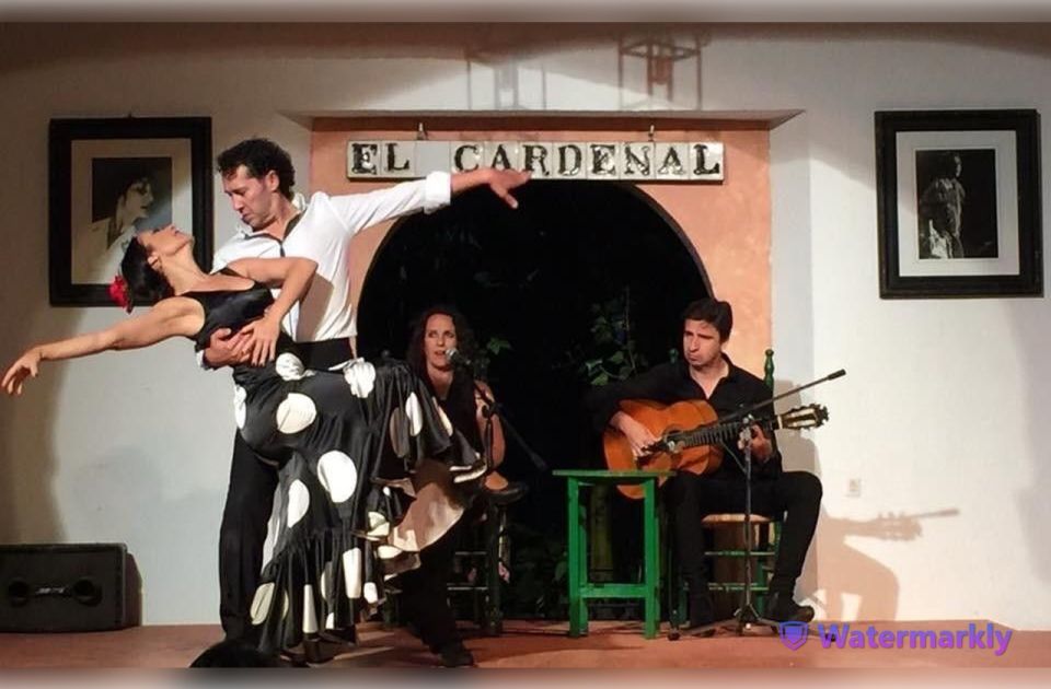 Córdoba: Flamenco Show Ticket With Drinks - Frequently Asked Questions