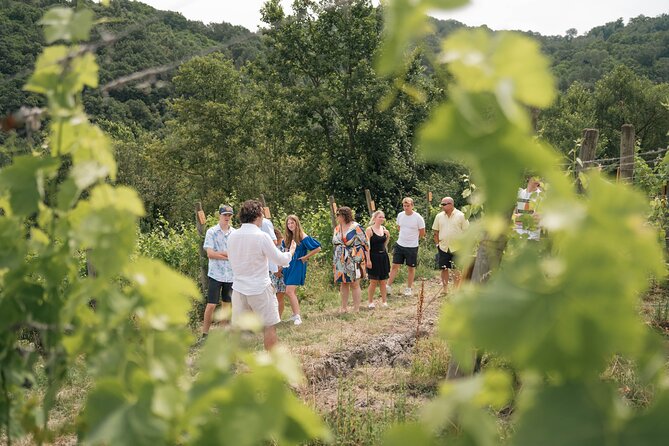 Cortecorbo Winery: Pizza Cooking Class, Lunch & Wine Tasting - Planning Your Exclusive Winery Tour