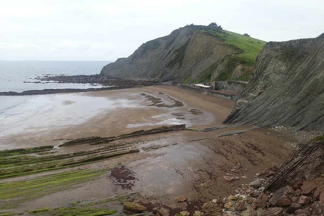 Countryside & Coast Private Tour - Customer Testimonials