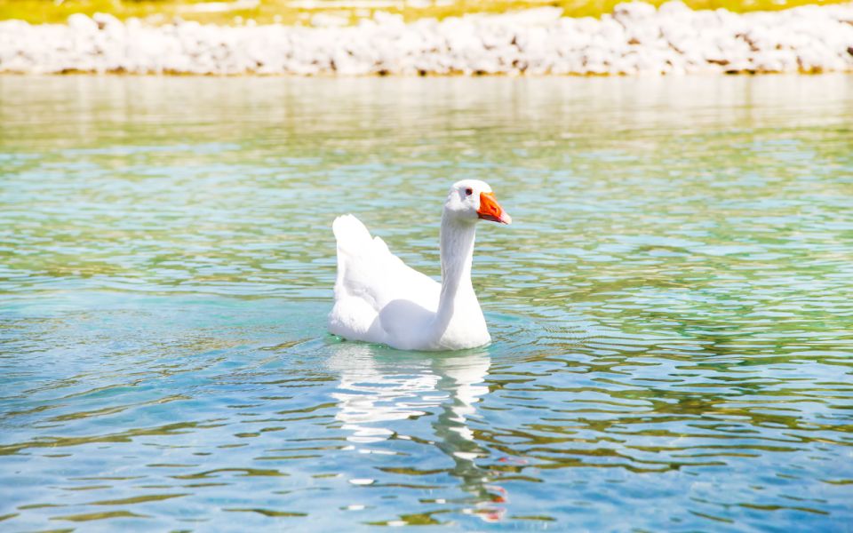 Crete: Lake Kournas, Argyroupolis, and Georgioupolis Trip - Inclusions and Accessibility