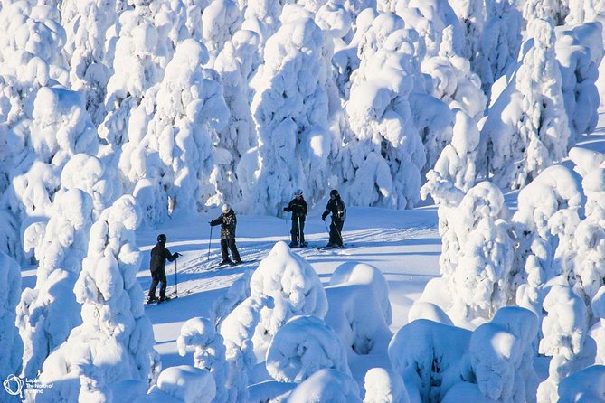 Cross-Country Skiing Trip - Experience for Beginners