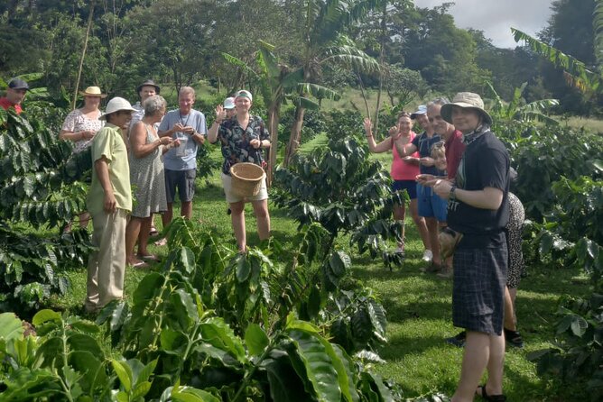 Cultural: Coffee & Chocolate Tour+Animal Sanctuary+Waterfall Swim - Tour Pricing and Cancellation