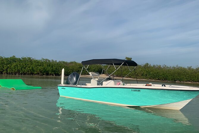 Custom Charters With a Local Captain - Tips for a Great Experience