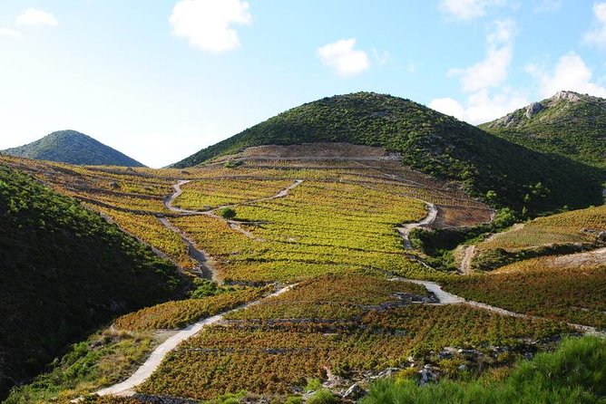 Dalmatian Flavors:Farm to Table Food Experience & Oyster Picking & Wine Tasting - Tour Logistics and Accessibility