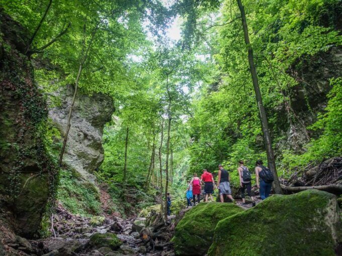 Danube Bend: Full-Day Hiking Tour From Budapest - Cultural Insights and Local Touches