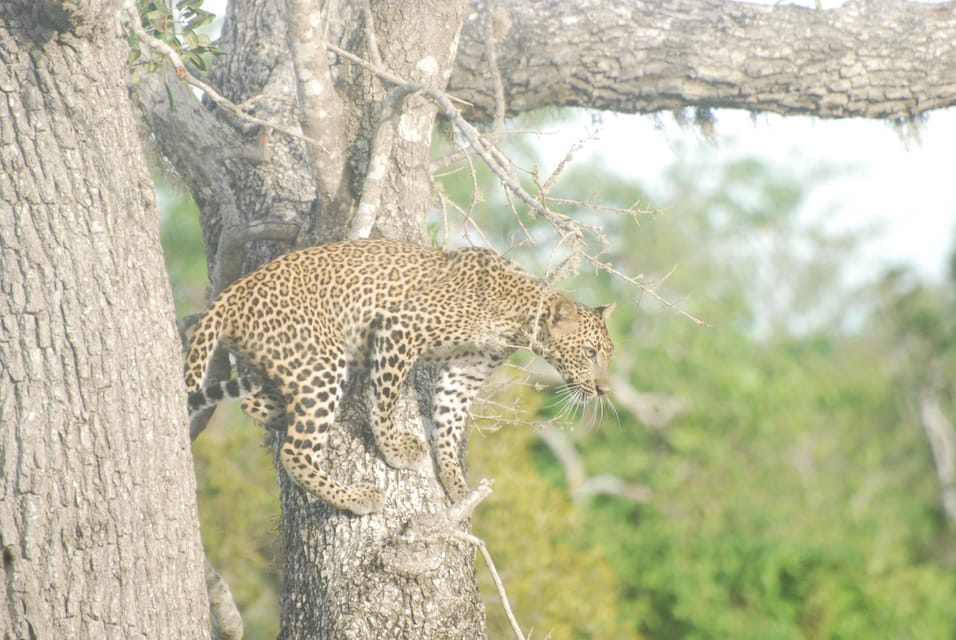 Day Safari From Hambantota - Picnic Break