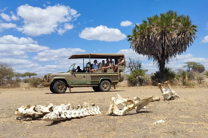 Day Safari Tour Selous Game Reserve - Safari Itinerary and Activities