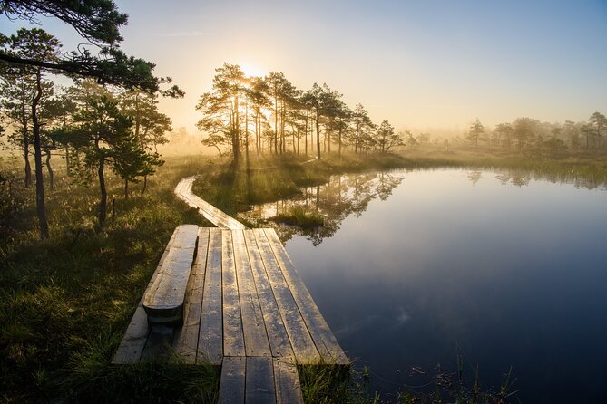 Day Trip to Land of Bays, the Romantic North-Coast From Tallinn - What Youll Experience