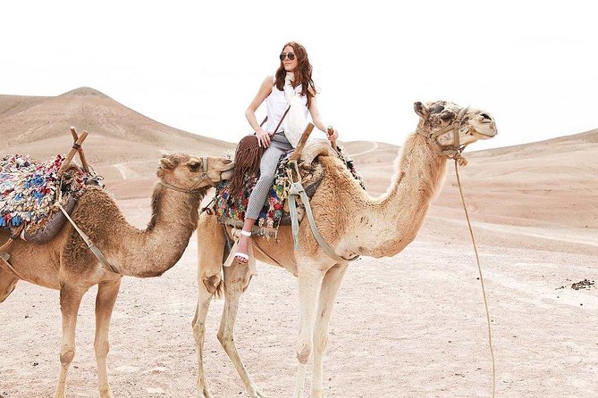 Desert Agafay and Atlas Mountains Day Trip From Marrakech & Camel Ride - Traveler Testimonials