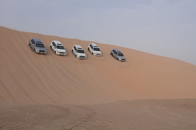 Desert Safari and Inland Sea(Private Tour) - Additional Information