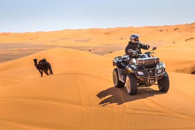 Desert Safari Dubai - Dining and Entertainment