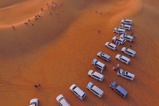 Desert Safari Qatar - Accessibility Considerations