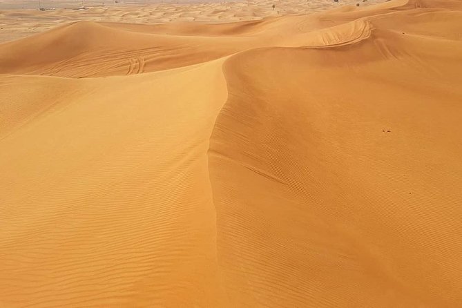 Desert Safari Red Dunes With Camel Ride, Sandboard, BBQ and Shows - Sandboarding Experiences