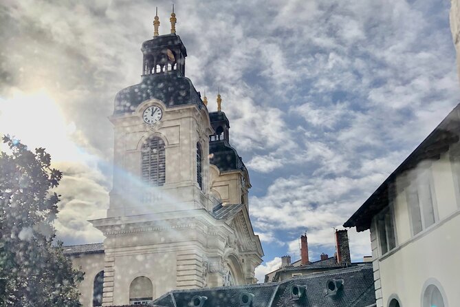 Discorver Lyon in a Private Tour With Your Driver - Exploring Lyons Attractions