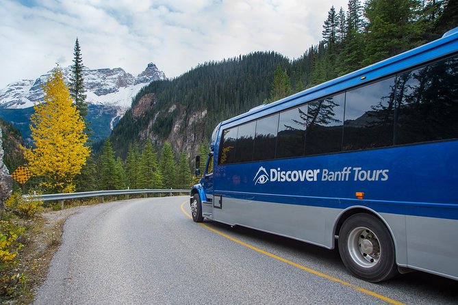 Discover Grizzly Bears From Banff - Dining at Eagles Eye Restaurant
