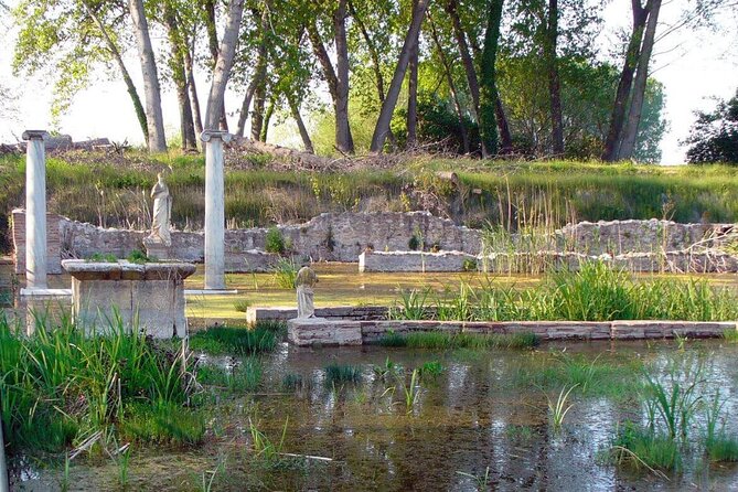 Discover Olympus & Dion: Private Day Trip From Thessaloniki - Tour Pricing and Inclusions