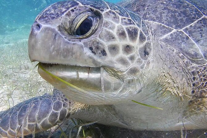 Discover Scuba Diving - Memorable Underwater Explorations