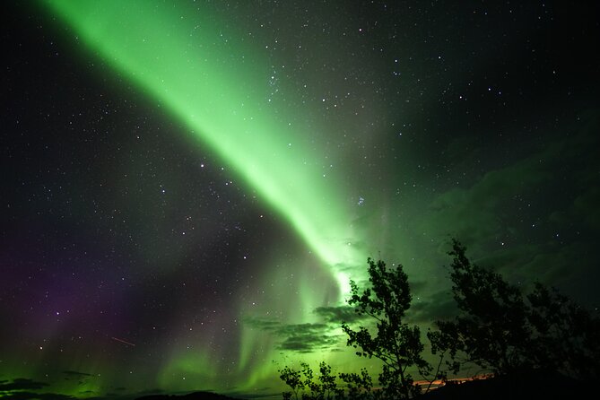Discover Whitehorse With Northern Lights and Yukon Wildlife Tour - Yukon Wildlife Exploration