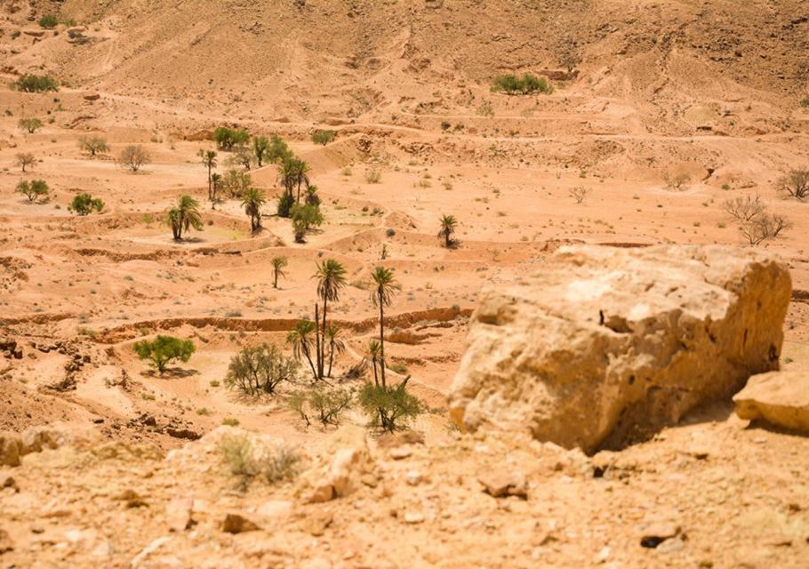 Djerba-Zarzis: Tataouine, Chenini and Ksar Hadada Day Tour - Discovering Chenini Troglodytes