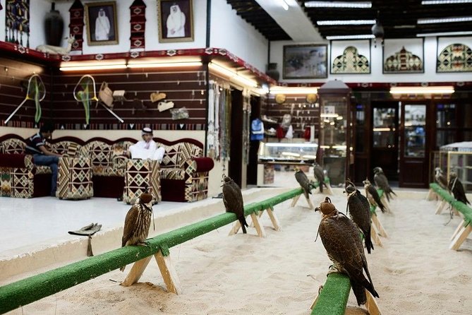 Doha: Iconic Sights, Culture & Museum of Islamic Art Tour - Traveler Reviews and Recommendations