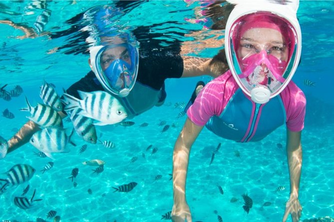 Dolphin Mini Cruise at Playa Del Carmen - Booking and Cancellation Policy