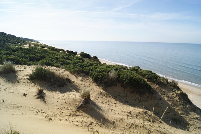 Doñana National Park in 4x4 and El Rocío - Visiting El Rocío