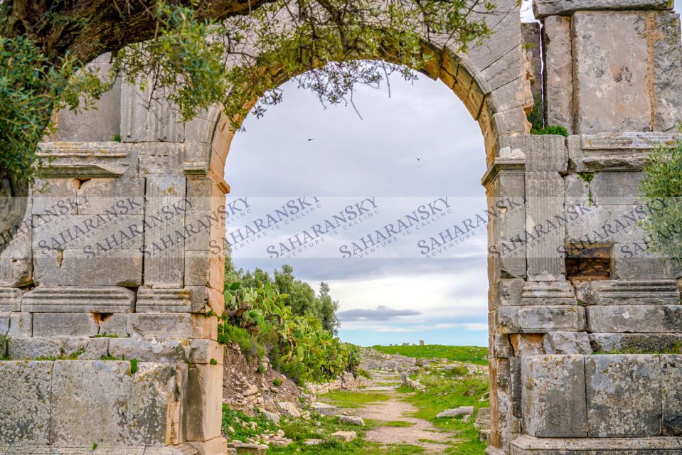 Dougga & Bulla Regia Private Full-Day Tour With Lunch - Uncovering Bulla Regia