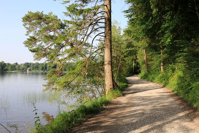 Dragon Slayer Way Beer Hike Food Experience Private Tour (departs Munich) - Tour Reviews and Feedback