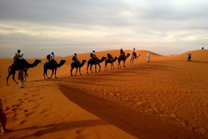 Dubai Evening 4x4 Desert Safari ATV Bike ,Camel Ride , BBQ Dinner - Activities Overview
