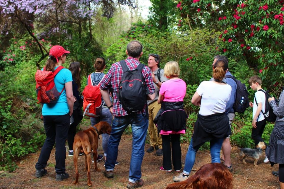 Dublin: Howth Coastal Hiking Tour - What to Bring