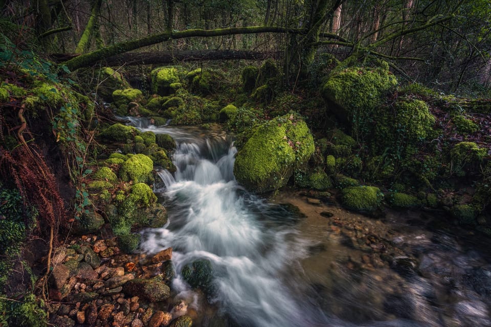 Dublin to County Wicklow & Glendalough Private Trip by Car - Vehicle Arrangements