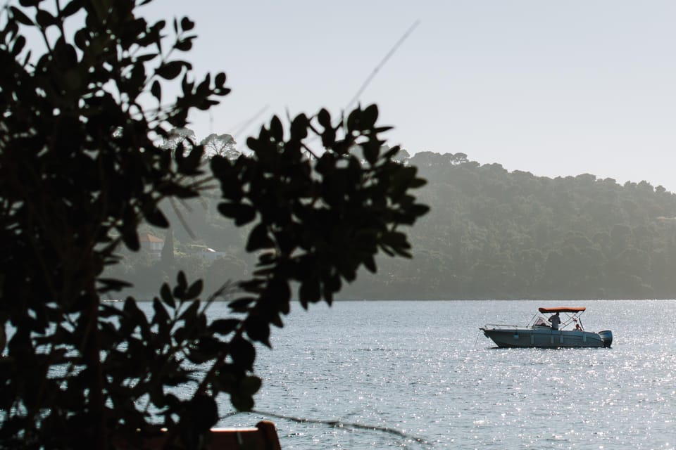 Dubrovnik:Elaphiti Islands and Caves Private Speedboat Tour - Customer Reviews and Ratings