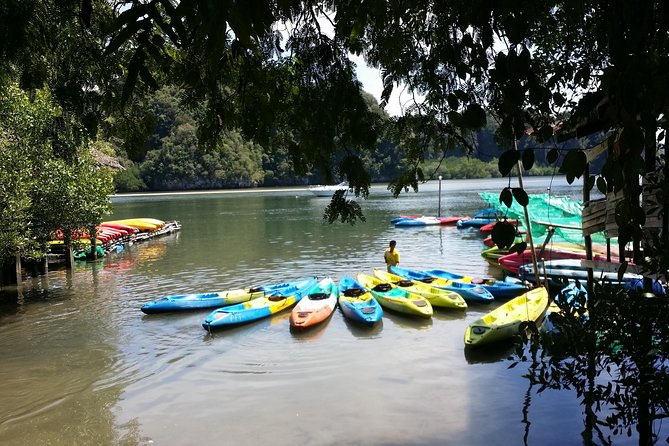Early Bird Kayak Private Group - Tips for Participants