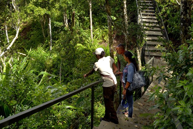 Ebony Forest Reserve Chamarel - Take a Hike Tour - Visitor Feedback and Tips
