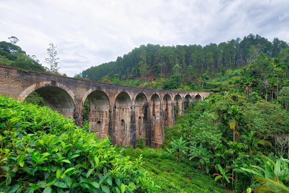 Echoes of Ella: A Journey Through Nature's Masterpieces - Panoramic Vistas From Liptons Seat