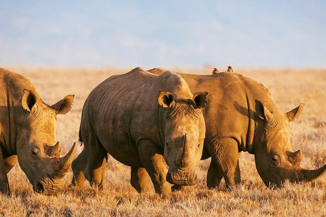 Elephant Special Serengeti & Ngorongoro Crater 5 Days / 4 Nights - Additional Considerations