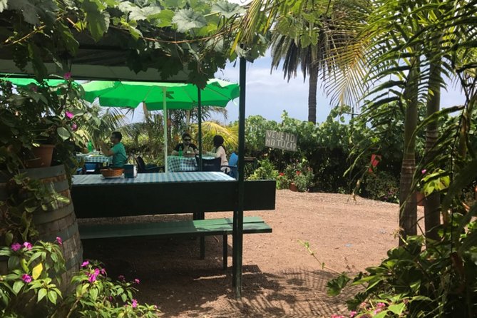 Enogastronomic Tour- 4 Hours in Tenerife - Dietary and Accessibility