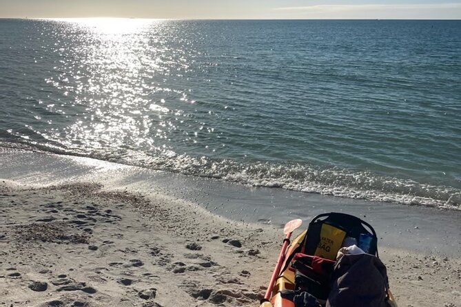 Exclusive Kayak Expedition: Exploring the Mangroves to Shell Key - Embracing the Peaceful Pace