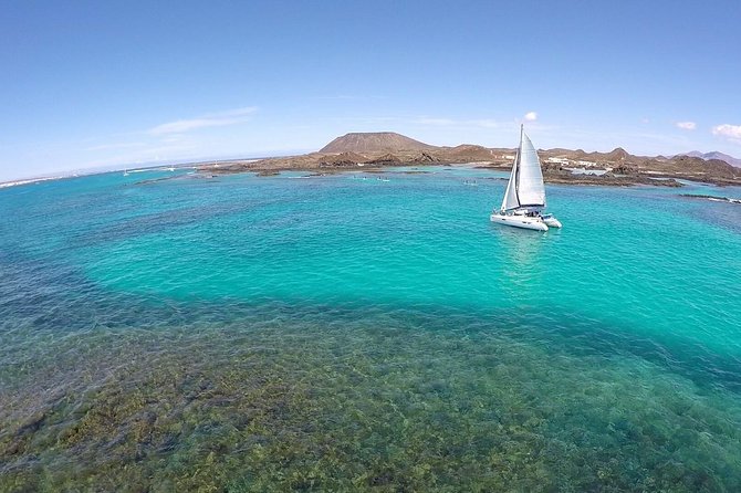 Exclusive Sailing Catamaran Experience to Lobos Island With Lunch and Drinks - Customer Reviews and Feedback