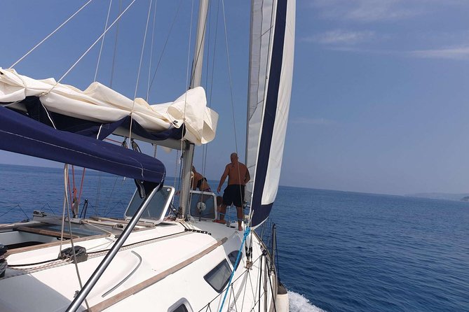 Excursion by Sailing Yacht - Exploring Marine Life
