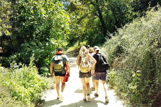 Excursion to Richtis Gorge & Waterfall - Customer Feedback