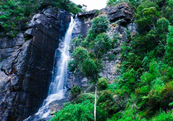 Explore Countryside of Nuwara Eliya by Tuk-Tuk - Exclusions