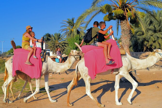 Explore Djerba With Our Four-Legged Friends - Tips for a Great Experience