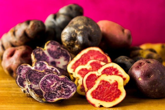 Explore Lima With Ceviche and Pisco Classes in the Historic Center - Price and Confirmation